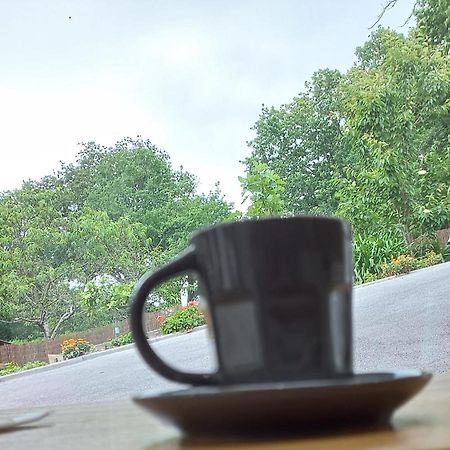 La Casa Bed&Breakfast Entree Independante 26M2 Calme Proche De Tout Wifi Parking Prive Jardin Terrasse 乌瑞基尼 外观 照片