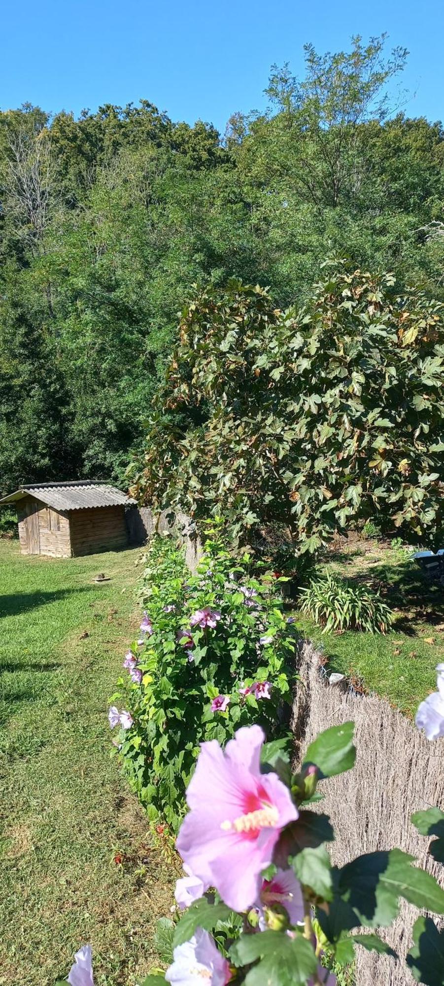 La Casa Bed&Breakfast Entree Independante 26M2 Calme Proche De Tout Wifi Parking Prive Jardin Terrasse 乌瑞基尼 外观 照片